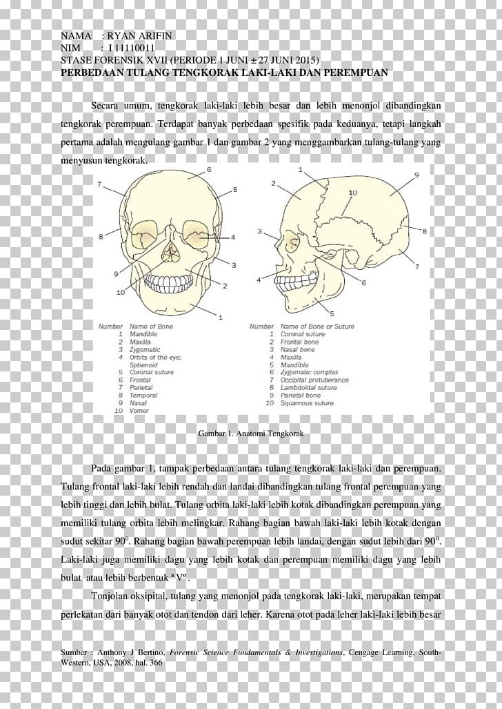 Homo Sapiens Bone Document Human Behavior PNG, Clipart, Area, Art, Behavior, Bone, Diagram Free PNG Download