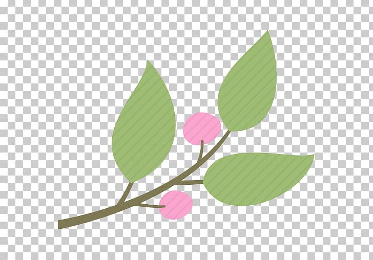 Leaf Computer Icons Iconfinder Scalable Graphics Petal PNG, Clipart, Branch, Computer Icons, Flower, Leaf, Petal Free PNG Download