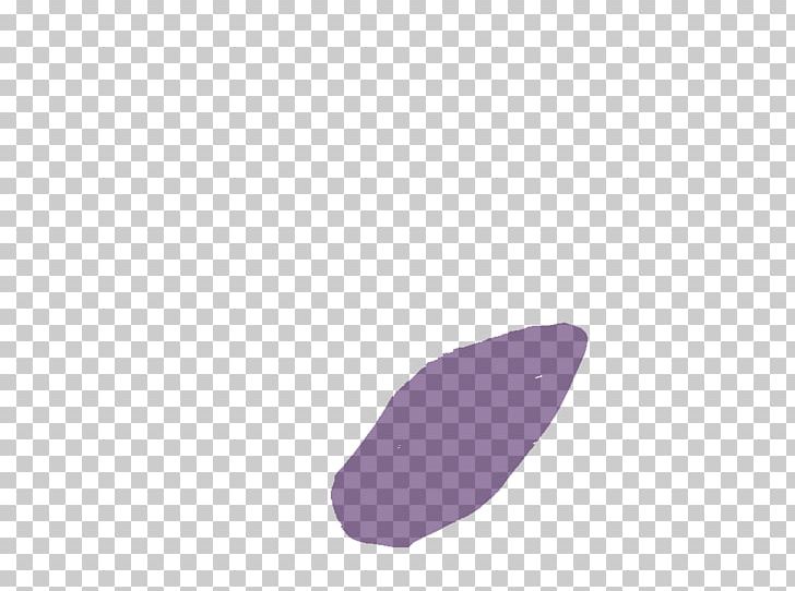 Lilac Lavender Violet Purple Magenta PNG, Clipart, Closeup, Lavender, Lilac, Magenta, Nature Free PNG Download
