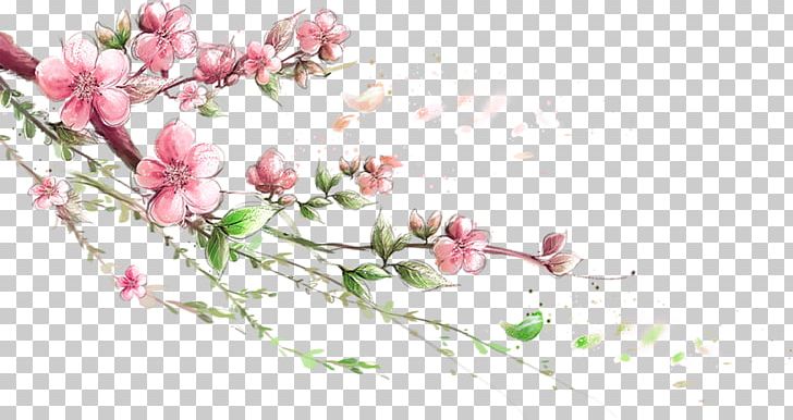 1080p Display Resolution High-definition Television WUXGA PNG, Clipart, Branch, Finish, Flower, Flower Arranging, Fruit Nut Free PNG Download