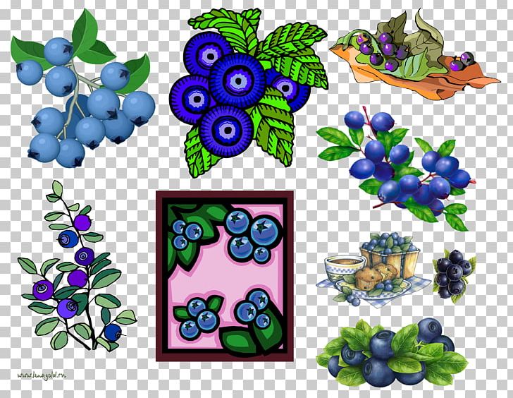 Grape PNG, Clipart, Art, Aug, Blue, Blueberry, Cartoon Free PNG Download