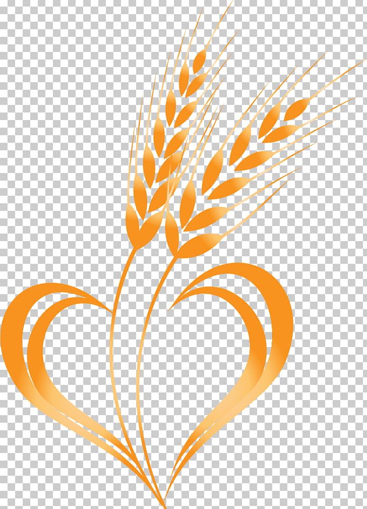 Wheat Cereal PNG, Clipart, Commodity, Computer Icons, Computer Wallpaper, Drawing, Ear Free PNG Download