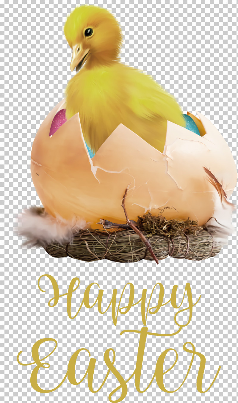 Happy Easter Chicken And Ducklings PNG, Clipart, Animation, Cartoon, Chicken, Chicken And Ducklings, Chicken Egg Free PNG Download