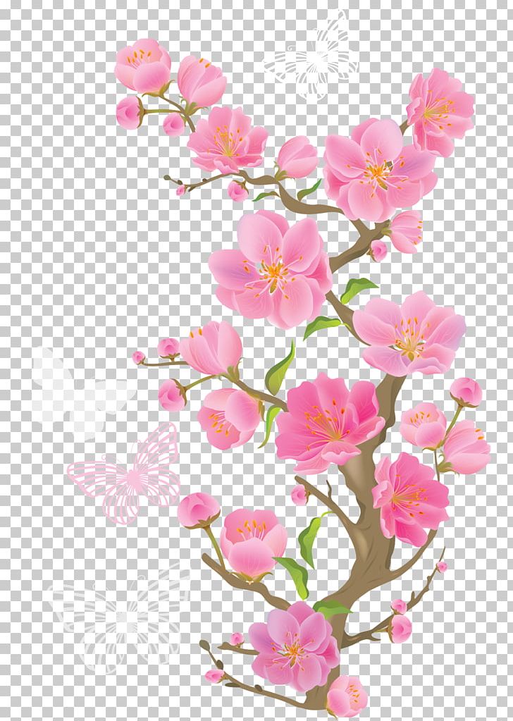 Cherry Blossom Flower PNG, Clipart, Blossom, Branch, Cherry, Cherry Blossom, Cut Flowers Free PNG Download