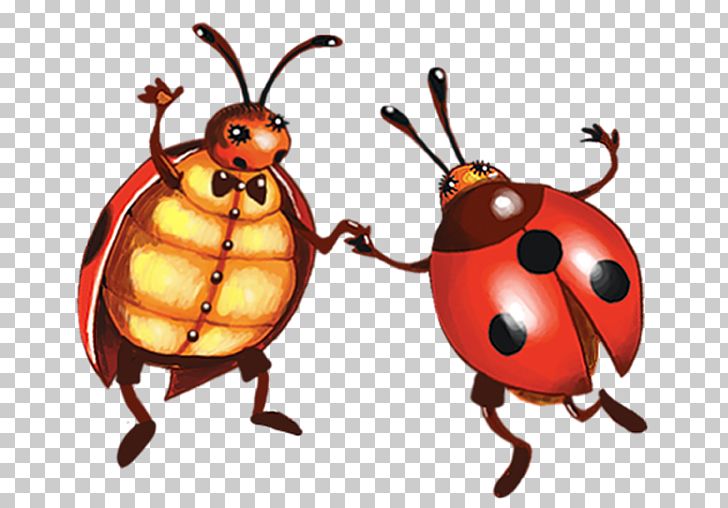 Ladybird PNG, Clipart, Albom, Animal, Arthropod, Bee, Beetle Free PNG Download