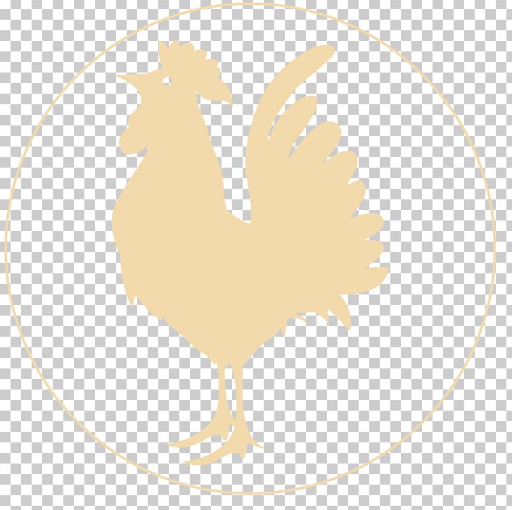 Rooster Beak Silhouette PNG, Clipart, Amazon River, Beak, Bird, Chicken, Chicken As Food Free PNG Download
