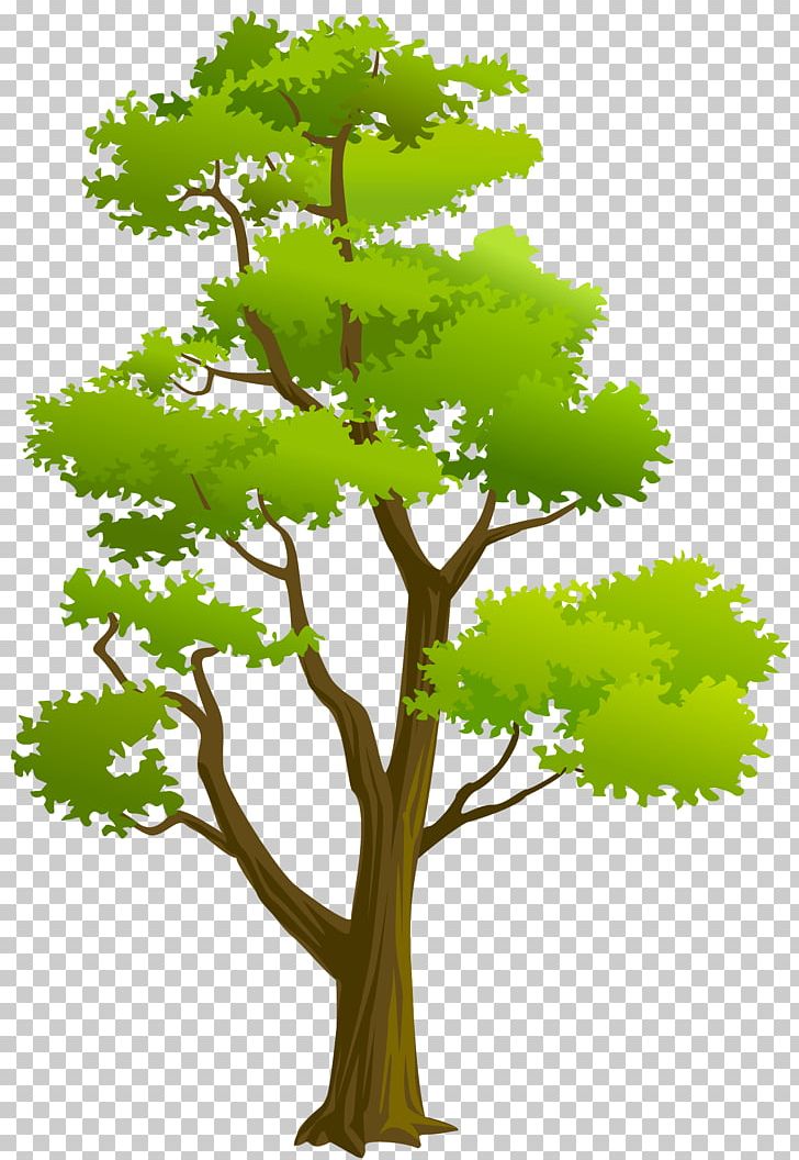Leaf Clipart Branch PNG, Clipart, Architectural Engineering, Branch ...