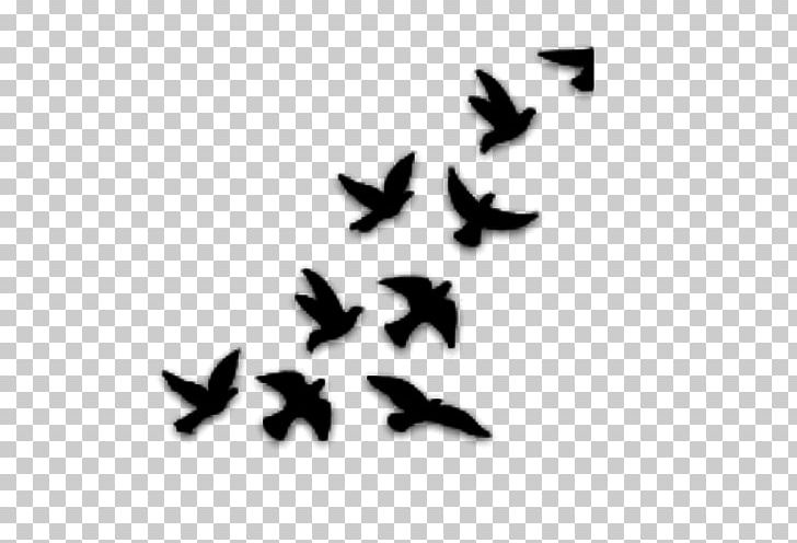 Cursor Photography PNG, Clipart, Art, Bana Vector, Beak, Bird, Black And White Free PNG Download