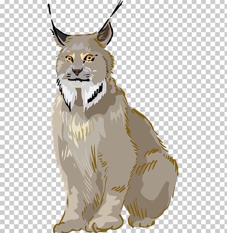 Eurasian Lynx Whiskers Bobcat Canada Lynx PNG, Clipart, Big Cats, Bobcat, Canada Lynx, Carnivoran, Cat Free PNG Download