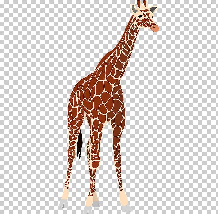 Giraffe PNG, Clipart, Animal Figure, Animals, Download, Drawing, Fauna Free PNG Download