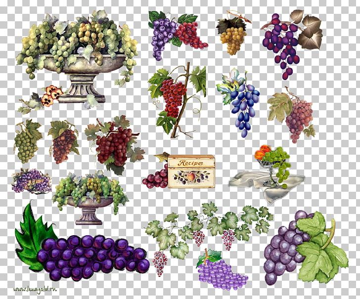 Grape Food PNG, Clipart, Art, Berry, Creative Arts, Filename Extension, Floral Design Free PNG Download