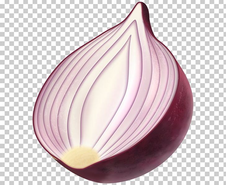 Red Onion French Onion Soup PNG, Clipart, Bulb, Clip Art, Desktop Wallpaper, Display Resolution, French Onion Soup Free PNG Download