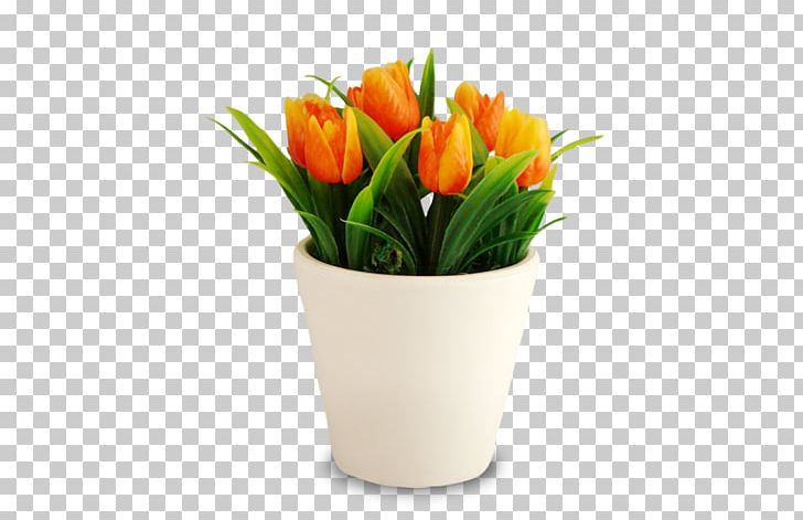 Tulip Floral Design Cut Flowers Flowerpot PNG, Clipart, Cut Flowers, Floral Design, Floristry, Flower, Flowering Plant Free PNG Download