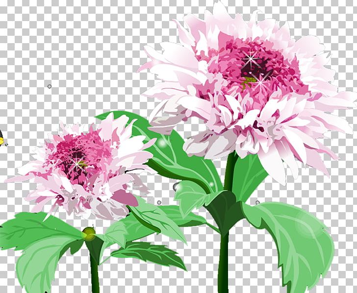 Floral Design Chrysanthemum Cut Flowers PNG, Clipart, Annual Plant, Beautiful, Chrysanthemum Chrysanthemum, Chrysanthemums, Chrysanthemum Tea Free PNG Download