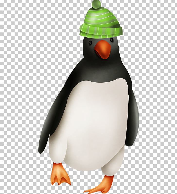 King Penguin Razorbills PNG, Clipart, Animals, Beak, Bird, Cartoon, Cartoon Penguin Free PNG Download