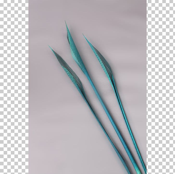 Line Angle Feather Turquoise PNG, Clipart, Angle, Art, Feather, Line, Quill Free PNG Download