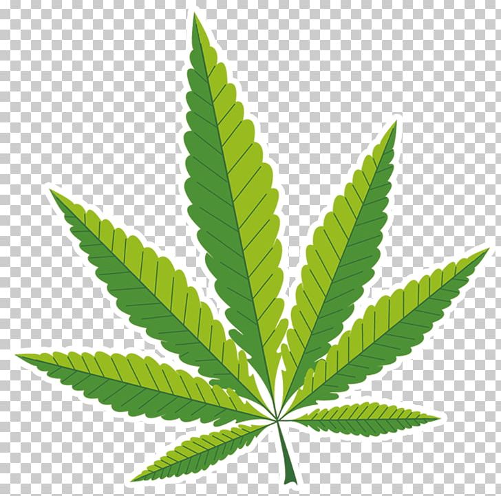 Medical Cannabis Hemp Cannabidiol PNG, Clipart, Cannabidiol, Cannabis, Cannabis Sativa, Drug, Drug Withdrawal Free PNG Download