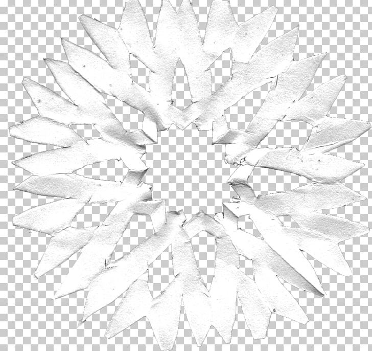 Symmetry Line Product Design Pattern PNG, Clipart, Black, Black And White, Circle, Flower, Line Free PNG Download