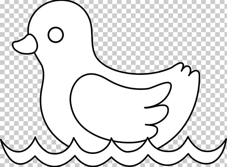 American Pekin Duck Drawing PNG, Clipart,  Free PNG Download