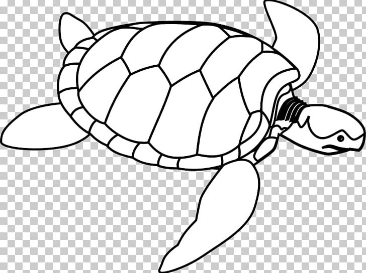 Green Sea Turtle PNG, Clipart, Area, Artwork, Ball, Black And White, Circle Free PNG Download