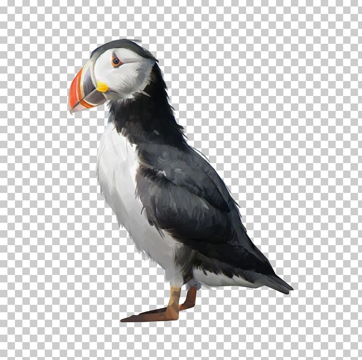 Puffin Ship Whaler Beak Art PNG, Clipart, Art, Artist, Artstation, Beak, Bird Free PNG Download