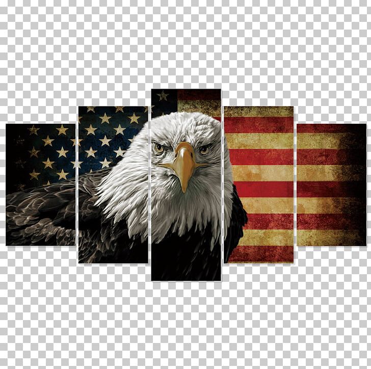 Bald Eagle United States Canvas Print Art PNG, Clipart, Accipitriformes, Art, Bald Eagle, Beak, Bird Free PNG Download