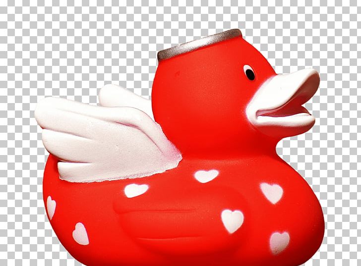 Rubber Duck Natural Rubber PNG, Clipart, Angel, Animals, Bathroom, Bathtub, Beak Free PNG Download