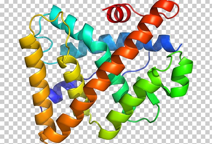 Steroid Hormone Receptor PNG, Clipart, 123, Artwork, Chemical Compound, D 3, Download Free PNG Download