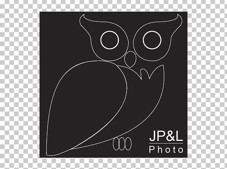 Owl Logo Brand Rectangle Font PNG, Clipart, Animals, Bird, Bird Of Prey, Black, Black And White Free PNG Download