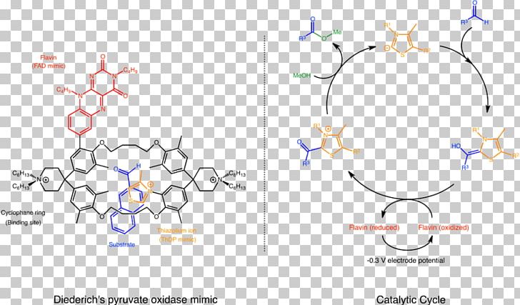 Supramolecular Catalysis Supramolecular Chemistry Pyruvate Oxidase PNG, Clipart, Angle, Area, Art, Branch, Brand Free PNG Download