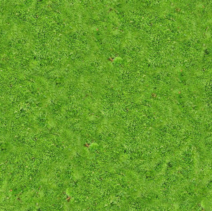 Vegetation Lawn Grassland Green PNG, Clipart, Carpet, Carpet Png, Family, Field, Free Free PNG Download