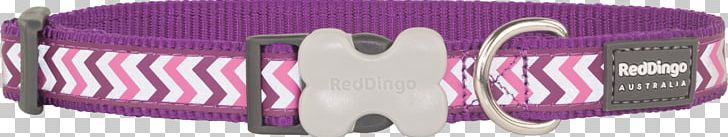 Dingo Dog Leash Cat Collar PNG, Clipart, Animals, Body Jewelry, Brand, Cat, Centimeter Free PNG Download