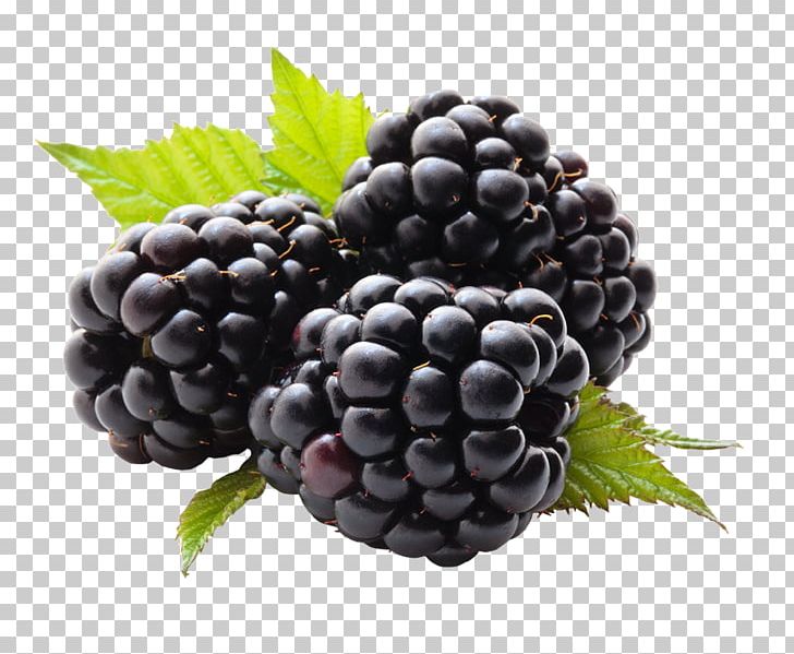 Juice Blackberry Fruit Raspberry PNG, Clipart, Berry, Bilberry, Blackberry 10, Blackberry Png, Black Raspberry Free PNG Download