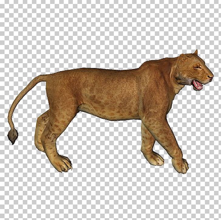 Lion Encapsulated PostScript PNG, Clipart, Animal, Animal Figure, Animals, Big Cat, Big Cats Free PNG Download