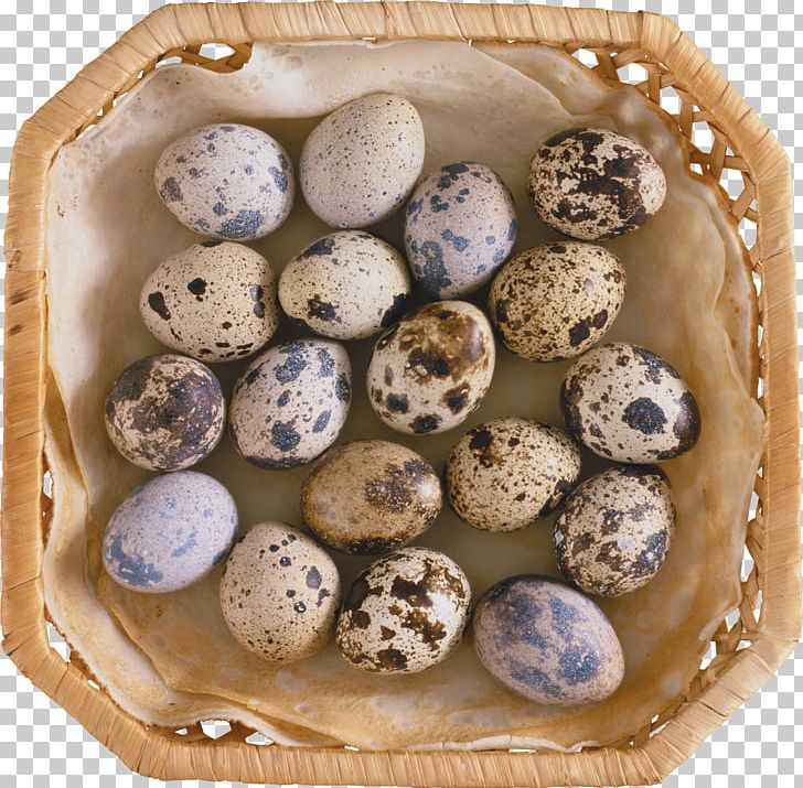 Quail Eggs Common Quail Food PNG, Clipart, Afford, Chicken Egg, Coddled Egg, Common Quail, Dish Free PNG Download