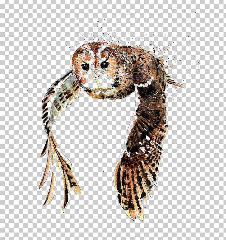 Tawny Owl Bird Drawing Watercolor Painting PNG, Clipart, Animals, Art, Beak, Bird, Bird Of Prey Free PNG Download