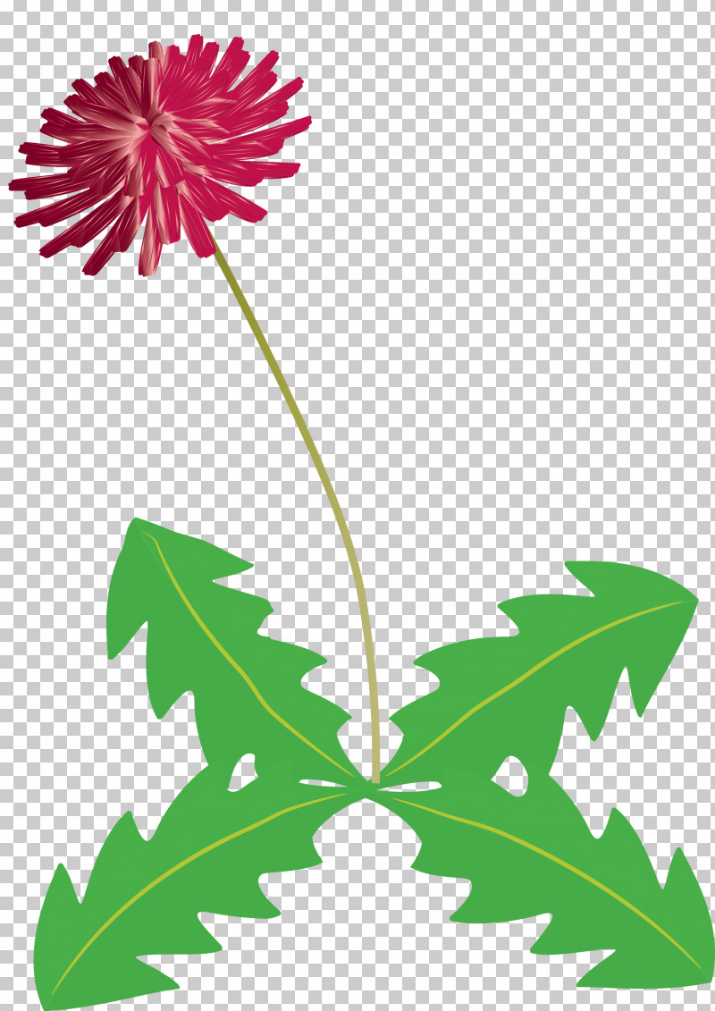 Dandelion Flower PNG, Clipart, Common Daisy, Cut Flowers, Dandelion Flower, Flower, Flower Garden Free PNG Download