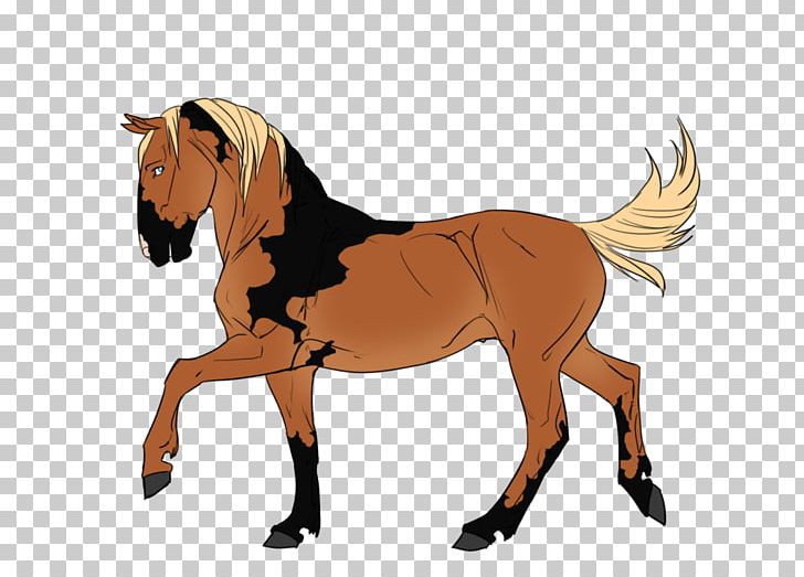 Mule Foal Stallion Halter Mustang PNG, Clipart, Bri, Colt, English Riding, Equestrian, Fictional Character Free PNG Download