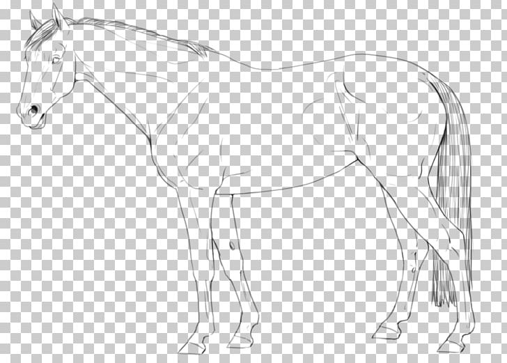 Arabian Horse Line Art American Quarter Horse Pony Stallion PNG, Clipart, Animal Figure, Arabian Horse, Artwork, Black And White, Bridle Free PNG Download