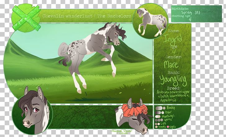 Pony Horse Green Advertising Ecosystem PNG, Clipart, Advertising, Animals, Ecosystem, Grass, Green Free PNG Download