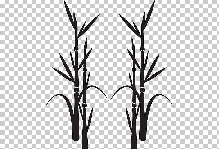 Stencil Graphics Wall Decal Illustration Floral Design PNG, Clipart, Art, Bamboo, Black And White, Branch, Commodity Free PNG Download