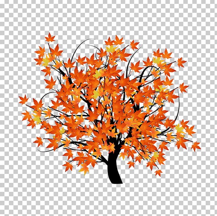 Autumn Leaf Color Tree Illustration PNG, Clipart, Branch, Flower, Flowering, Flowers, Happy Birthday Vector Images Free PNG Download