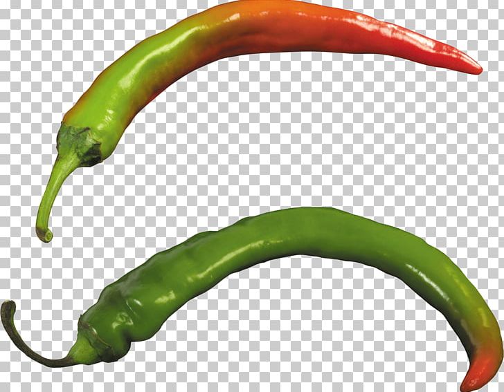 Chili Pepper Bell Pepper Serrano Pepper Thai Cuisine Pad Thai PNG, Clipart, Bell Pepper, Bell Peppers And Chili Peppers, Black Pepper, Cayenne Pepper, Chili Pepper Free PNG Download
