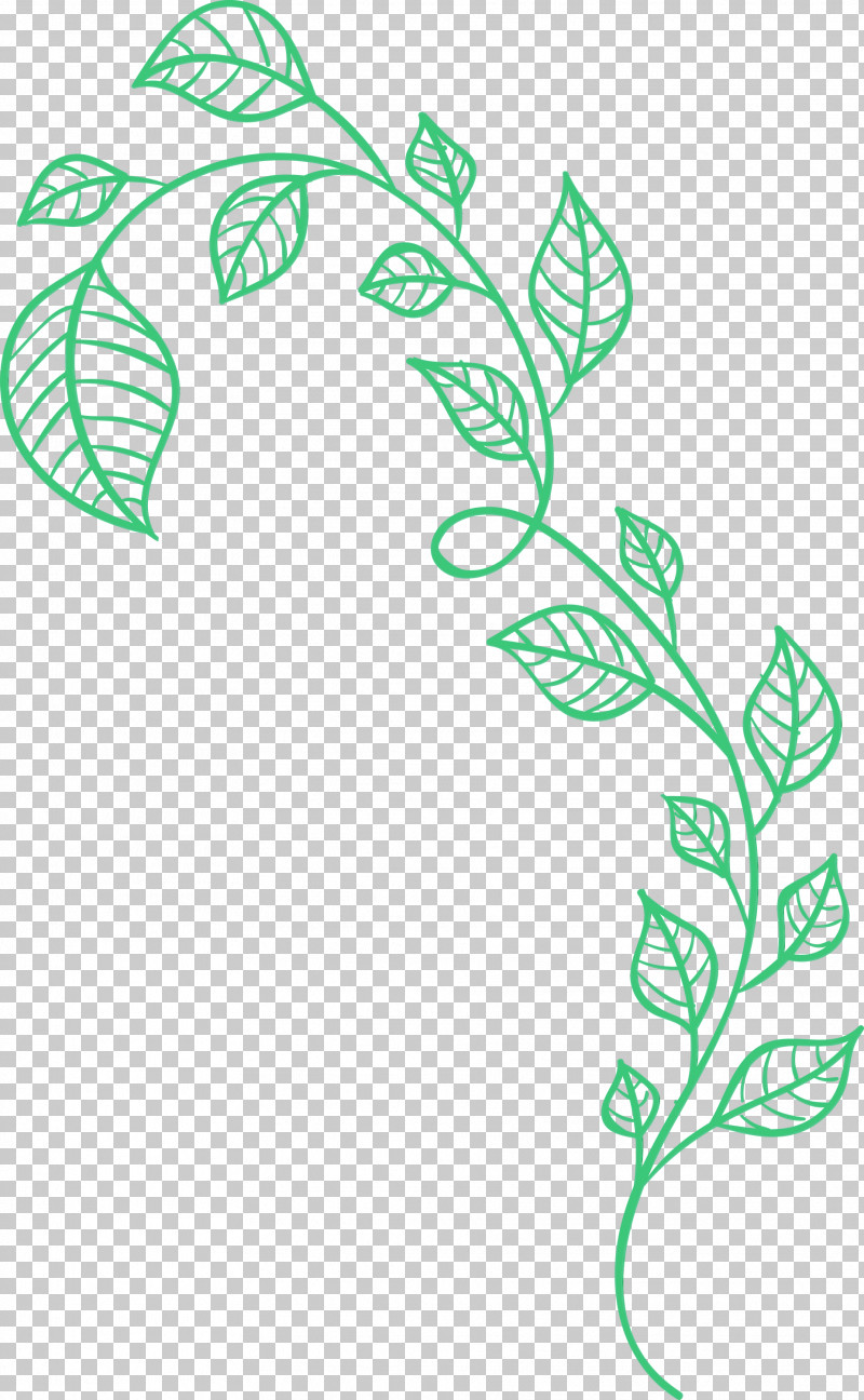 Line Art Leaf Green Plant Plant Stem PNG, Clipart,  Free PNG Download