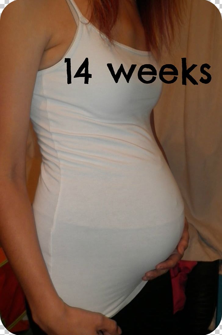 Abdomen Week 14 Of Pregnancy Fetus PNG, Clipart, Abdomen, Active Undergarment, Arm, Back, Chest Free PNG Download