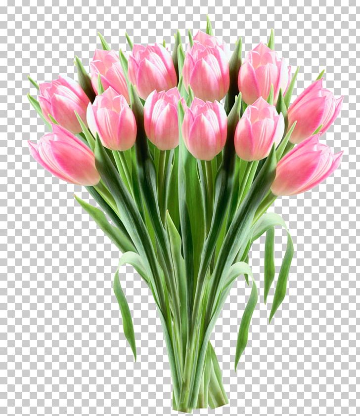 Tulip Flower PNG, Clipart, Artificial Flower, Clipart, Clip Art, Color, Cut Flowers Free PNG Download