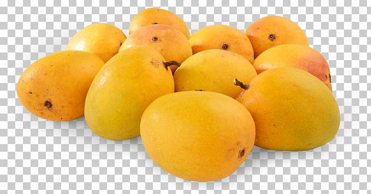 Ratnagiri International Mango Festival Konkan Alphonso Organic Food PNG, Clipart, Alphonso, Chaunsa, Citrus, Food, Fruit Free PNG Download