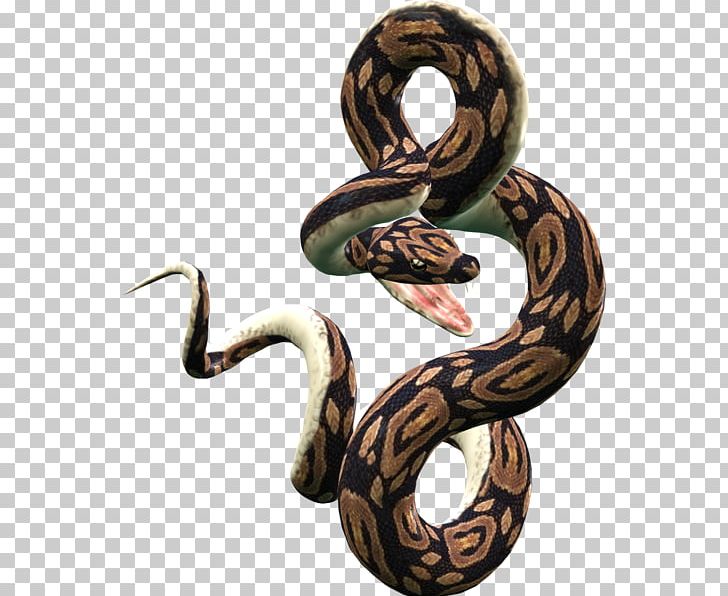 Snake PNG, Clipart, Animals, Boa Constrictor, Boas, Body Jewelry, Colubridae Free PNG Download