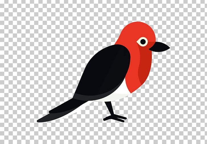 Bird Woodpecker True Parrot PNG, Clipart, Animals, Beak, Bird, Drawing, Parrot Free PNG Download