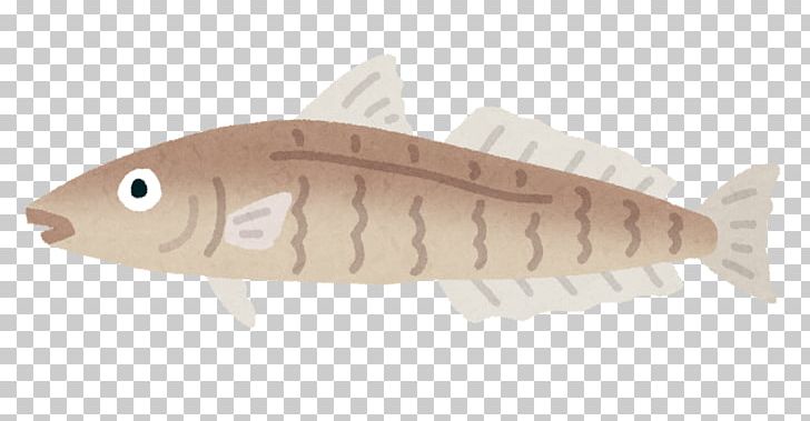 Fish Sillaginidae いらすとや Angling PNG, Clipart, Aaaaaaaa, Angling, Animals, Fauna, Fish Free PNG Download
